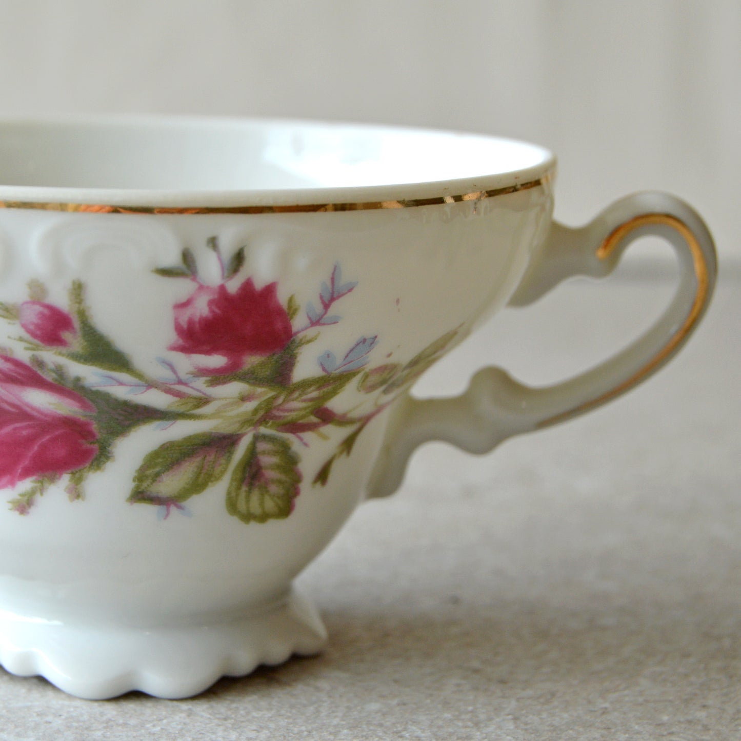 Vintage Rosenthal Moss Rose Footed Cup & Saucer Teacup Set (1960s)