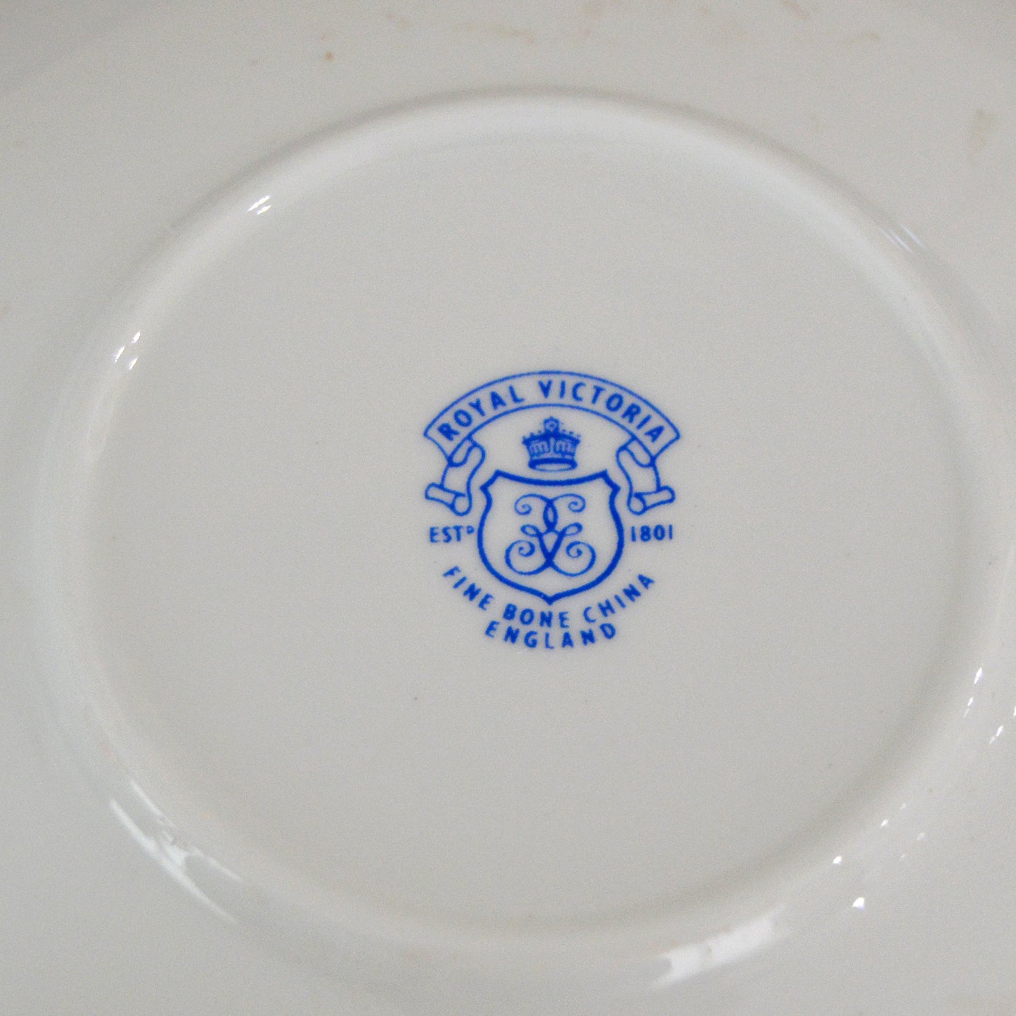 Vintage Floral Royal Victoria Teacup with Saucer (1980s)